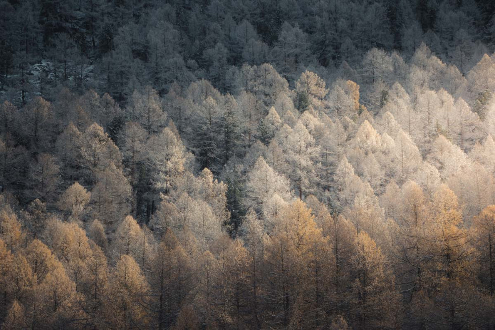 Winterherbst (quer)